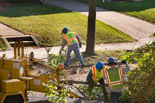 Lawn Drainage Solutions in Smyrna, TN